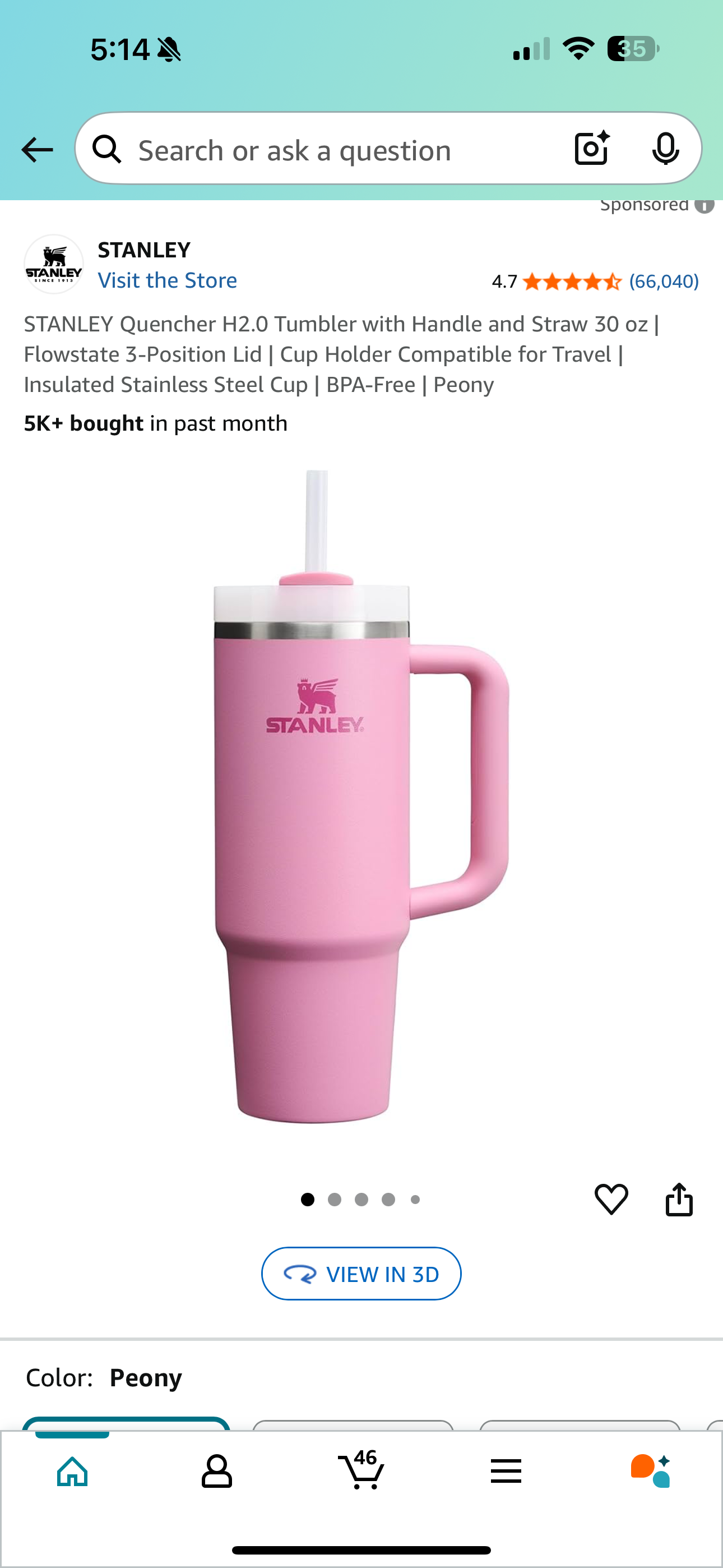 Stanley Tumbler Bouquet
