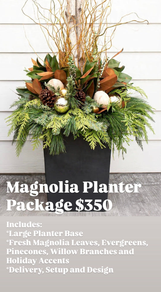Christmas Porch - Magnolia Planter
